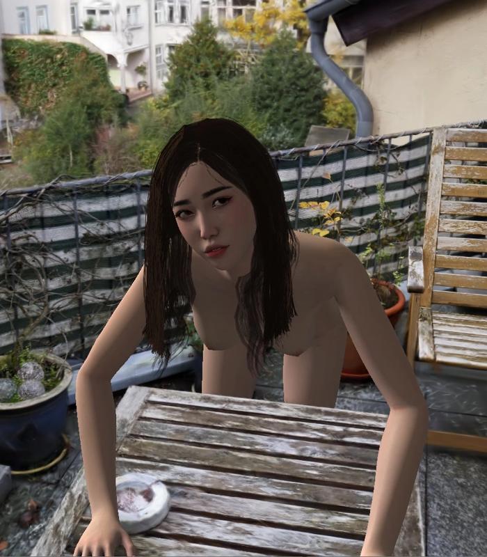 SpaSiBo – Spanking Simulation Box 4